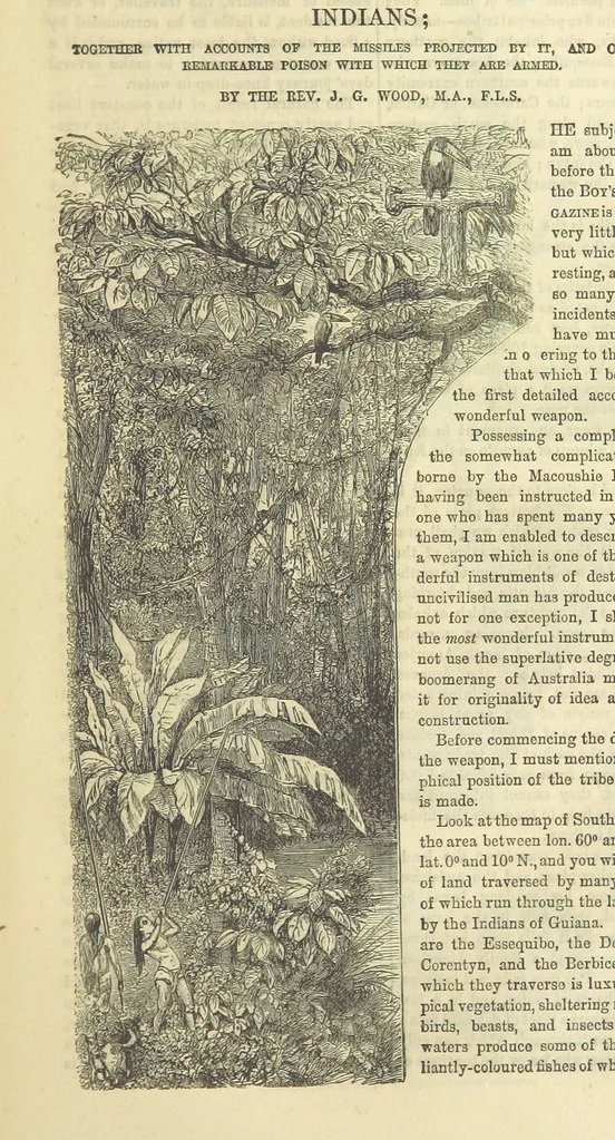 An illustration from Beeton's Historical Romances, Daring Deeds, and Animal Stories. Illustrated, etc, 1871, leaf 73