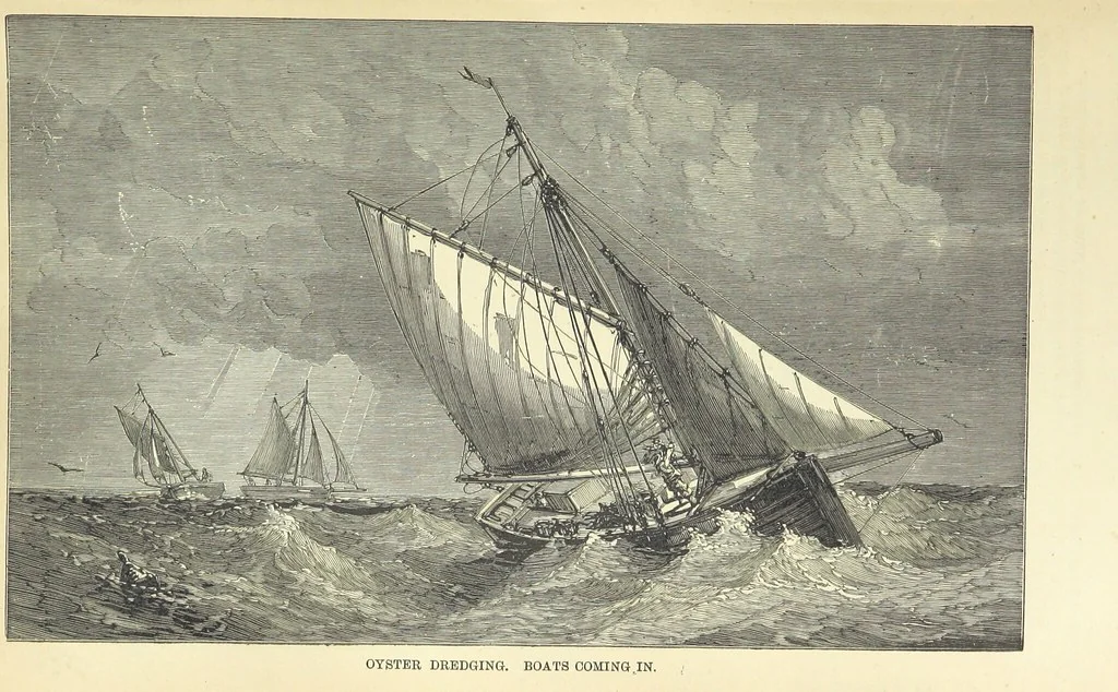 An illustration from Beeton's Historical Romances, Daring Deeds, and Animal Stories. Illustrated, etc, 1871, leaf 768