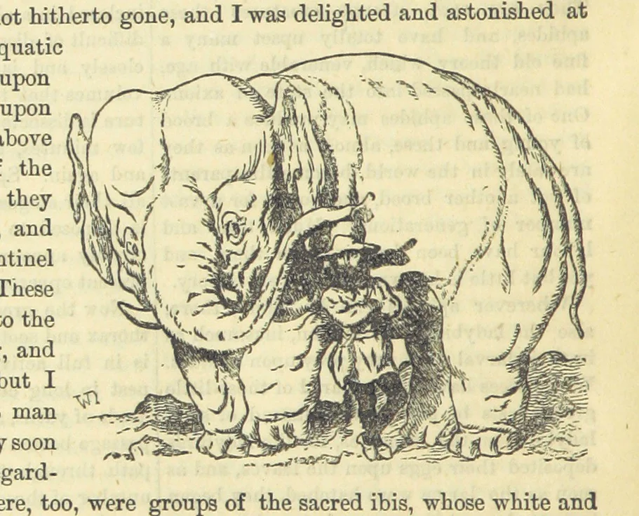 An illustration from Beeton's Historical Romances, Daring Deeds, and Animal Stories. Illustrated, etc, 1871, leaf 800