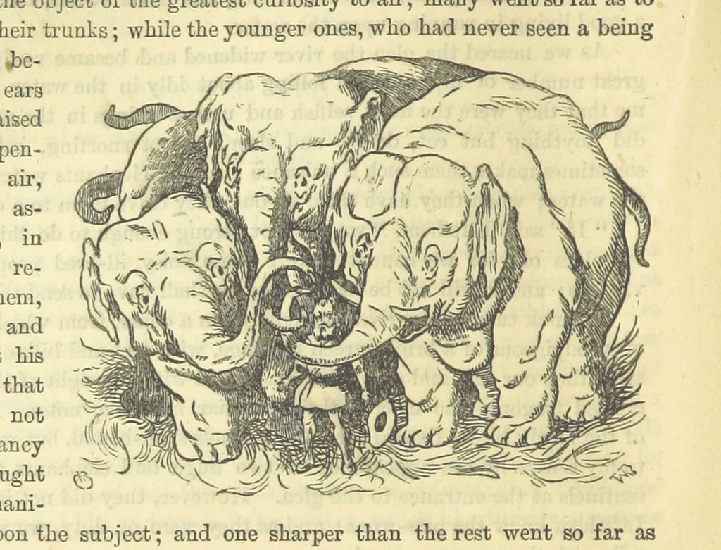 An illustration from Beeton's Historical Romances, Daring Deeds, and Animal Stories. Illustrated, etc, 1871, leaf 802