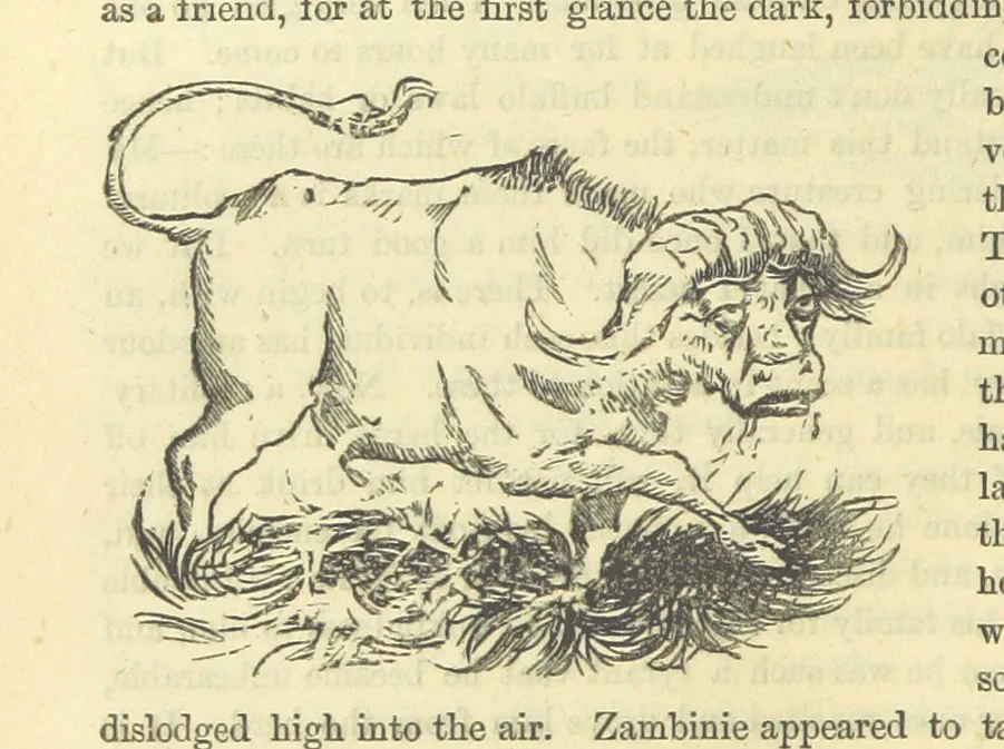 An illustration from Beeton's Historical Romances, Daring Deeds, and Animal Stories. Illustrated, etc, 1871, leaf 806