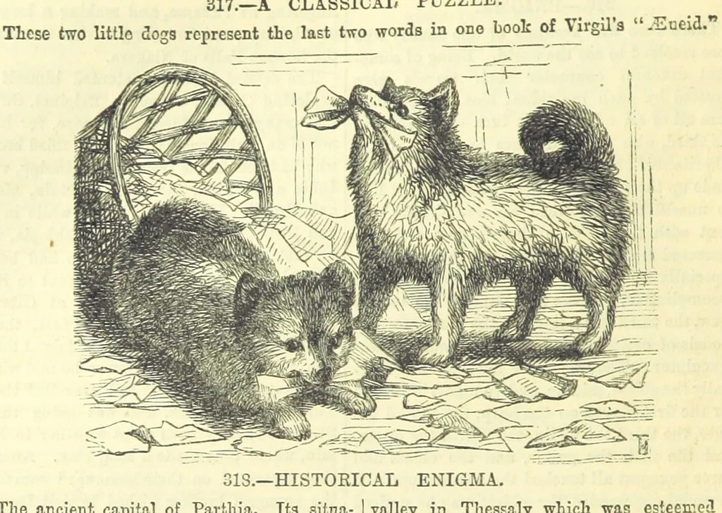An illustration from Beeton's Historical Romances, Daring Deeds, and Animal Stories. Illustrated, etc, 1871, leaf 842