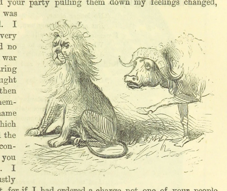An illustration from Beeton's Historical Romances, Daring Deeds, and Animal Stories. Illustrated, etc, 1871, leaf 845