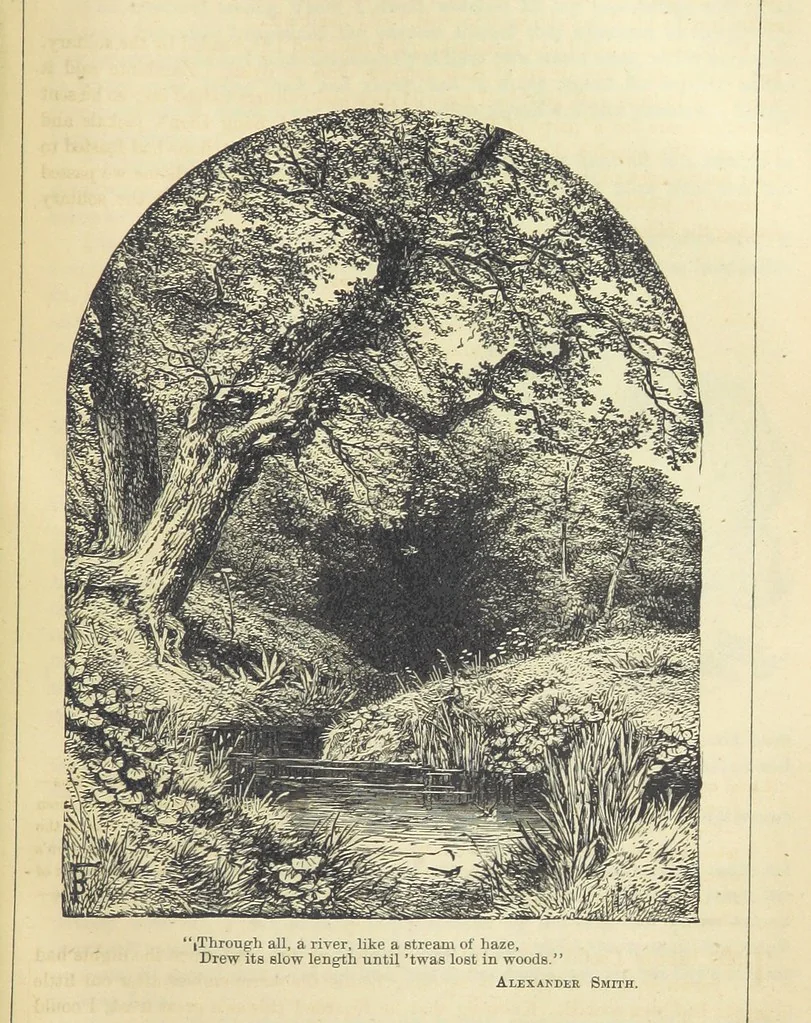 An illustration from Beeton's Historical Romances, Daring Deeds, and Animal Stories. Illustrated, etc, 1871, leaf 847