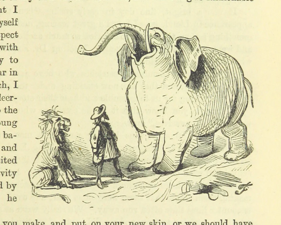 An illustration from Beeton's Historical Romances, Daring Deeds, and Animal Stories. Illustrated, etc, 1871, leaf 849