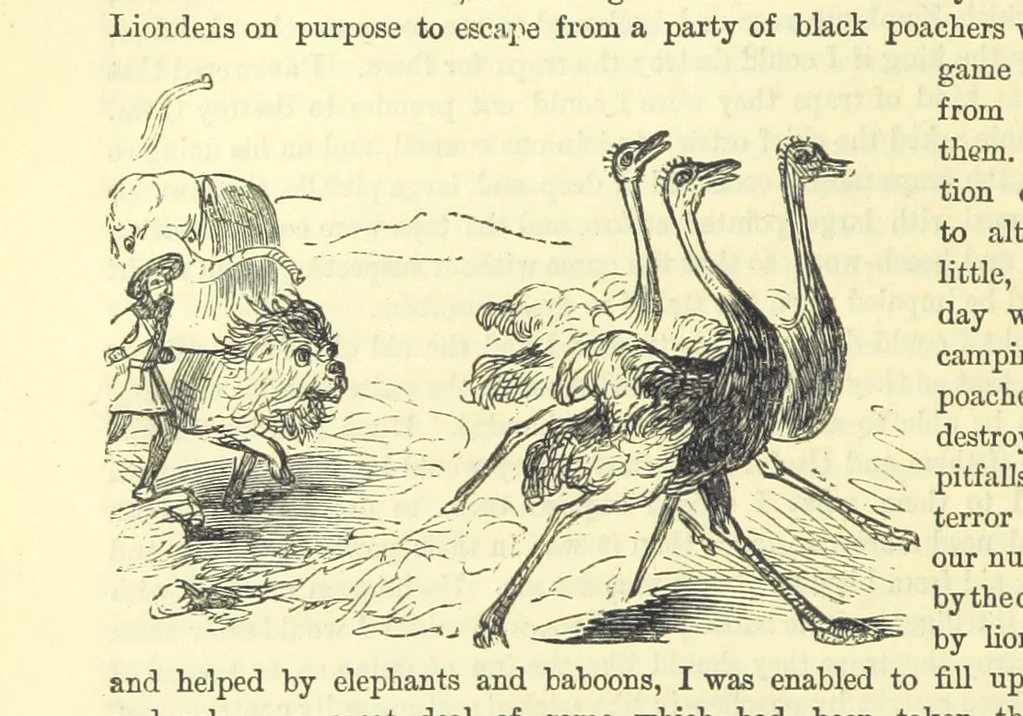 An illustration from Beeton's Historical Romances, Daring Deeds, and Animal Stories. Illustrated, etc, 1871, leaf 852