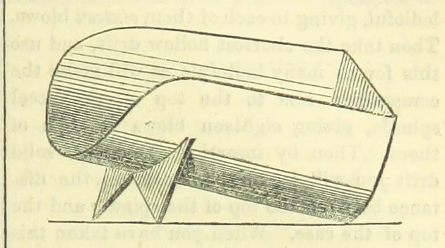 An illustration from Beeton's Historical Romances, Daring Deeds, and Animal Stories. Illustrated, etc, 1871, leaf 963