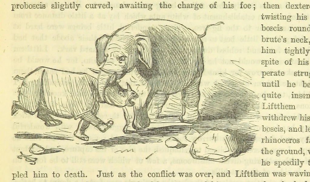 An illustration from Beeton's Historical Romances, Daring Deeds, and Animal Stories. Illustrated, etc, 1871, leaf 973