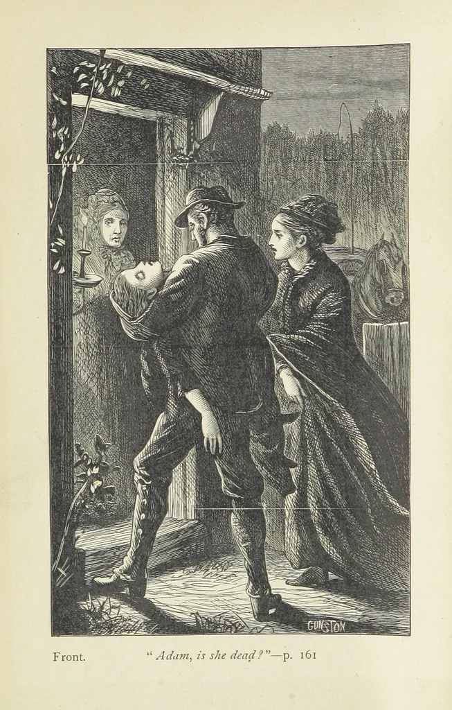 An illustration from Seventeen to Twenty-one; or, Aunt Vonica ... With original illustrations, 1876, leaf 8
