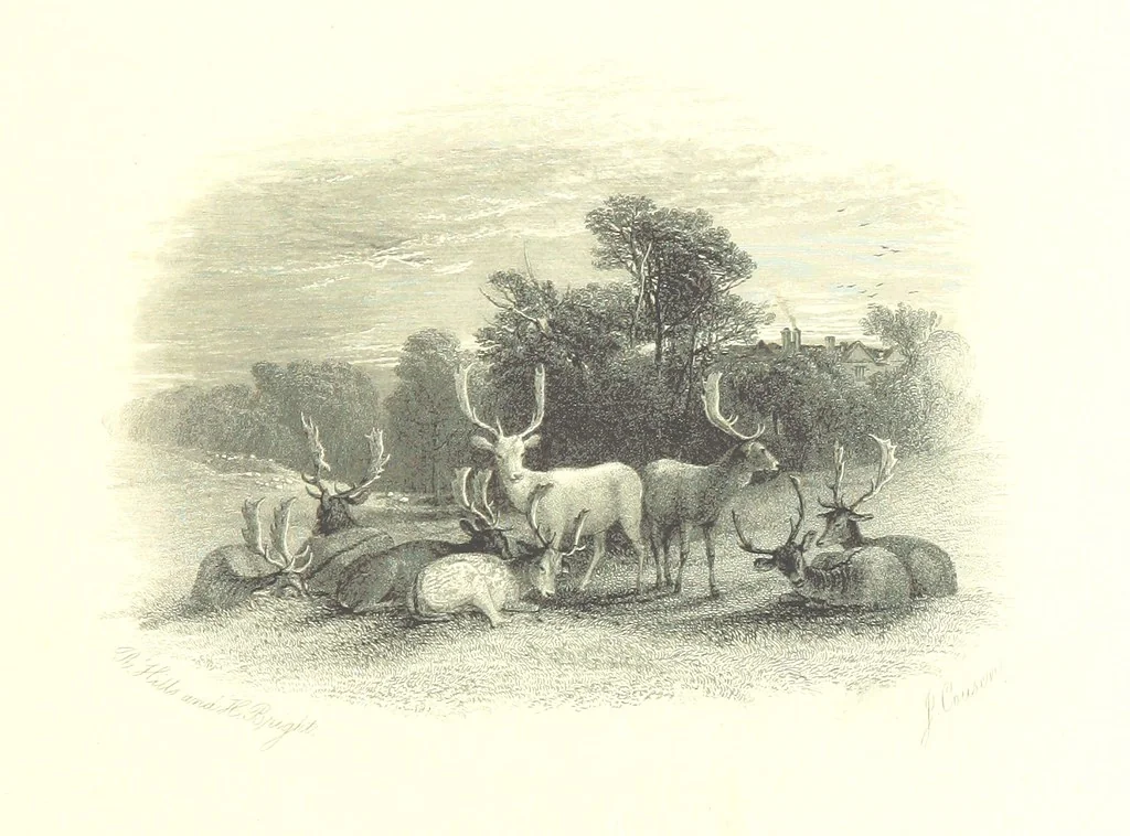 An illustration from Art and Song. A series of original ... engravings from masterpieces of art of the nineteenth century accompanied by a selection of the choicest poems in the English language. Edited by R. Bell, 1892, leaf 221