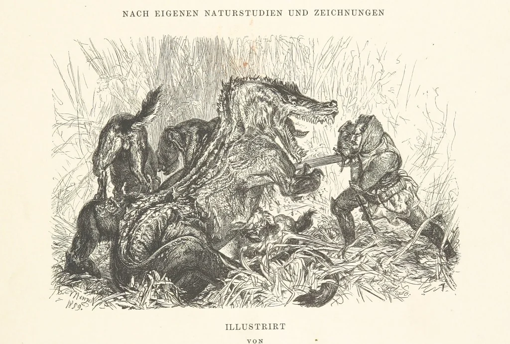 An illustration from Die Insel Rhodus, aus eigener Anschauung und nach den vorhandenen Quellen historisch, geographisch, archäologisch, malerisch beschrieben und durch Originalradirungen und Holzschnitte nach eigenen Naturstudien und Zeichnungen illustrirt. F.P, 1862, leaf 11