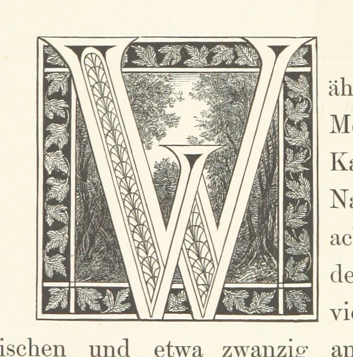 An illustration from Die Insel Rhodus, aus eigener Anschauung und nach den vorhandenen Quellen historisch, geographisch, archäologisch, malerisch beschrieben und durch Originalradirungen und Holzschnitte nach eigenen Naturstudien und Zeichnungen illustrirt. F.P, 1862, leaf 156