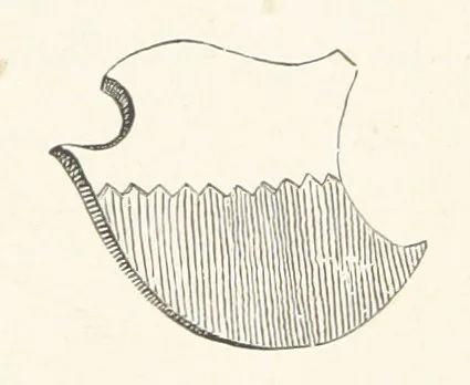 An illustration from Die Insel Rhodus, aus eigener Anschauung und nach den vorhandenen Quellen historisch, geographisch, archäologisch, malerisch beschrieben und durch Originalradirungen und Holzschnitte nach eigenen Naturstudien und Zeichnungen illustrirt. F.P, 1862, leaf 210