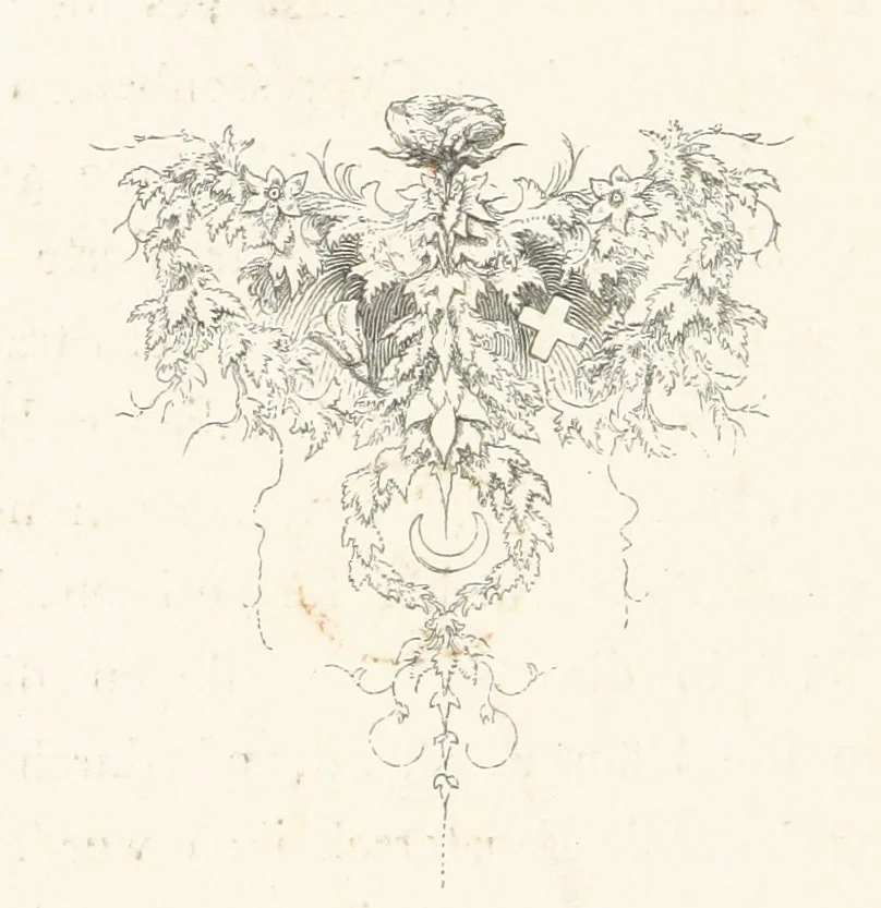 An illustration from Die Insel Rhodus, aus eigener Anschauung und nach den vorhandenen Quellen historisch, geographisch, archäologisch, malerisch beschrieben und durch Originalradirungen und Holzschnitte nach eigenen Naturstudien und Zeichnungen illustrirt. F.P, 1862, leaf 346