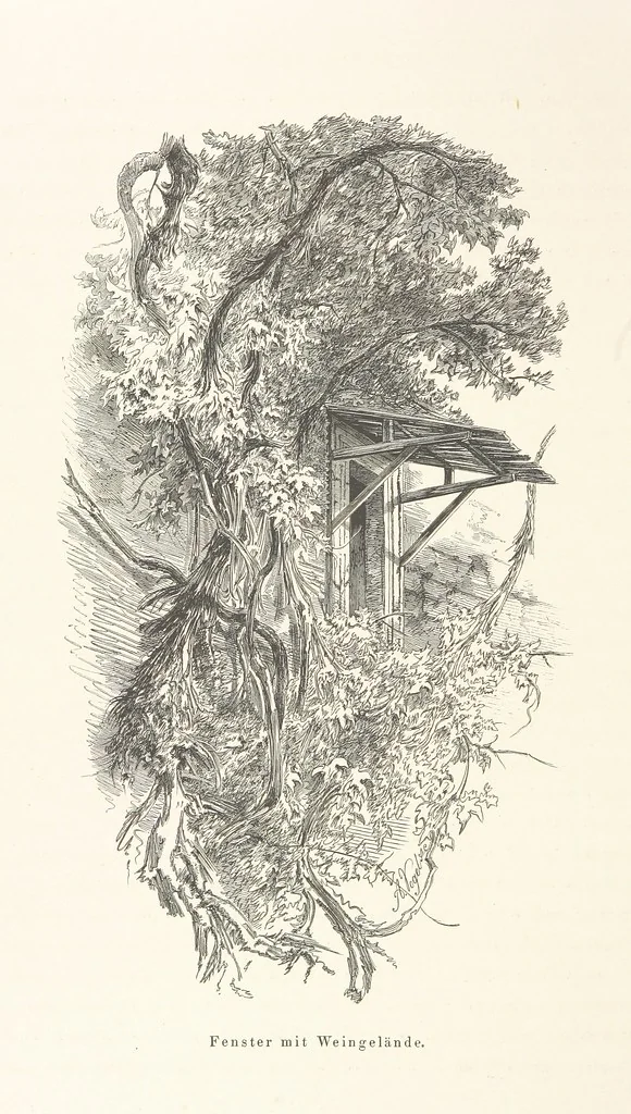 An illustration from Die Insel Rhodus, aus eigener Anschauung und nach den vorhandenen Quellen historisch, geographisch, archäologisch, malerisch beschrieben und durch Originalradirungen und Holzschnitte nach eigenen Naturstudien und Zeichnungen illustrirt. F.P, 1862, leaf 380