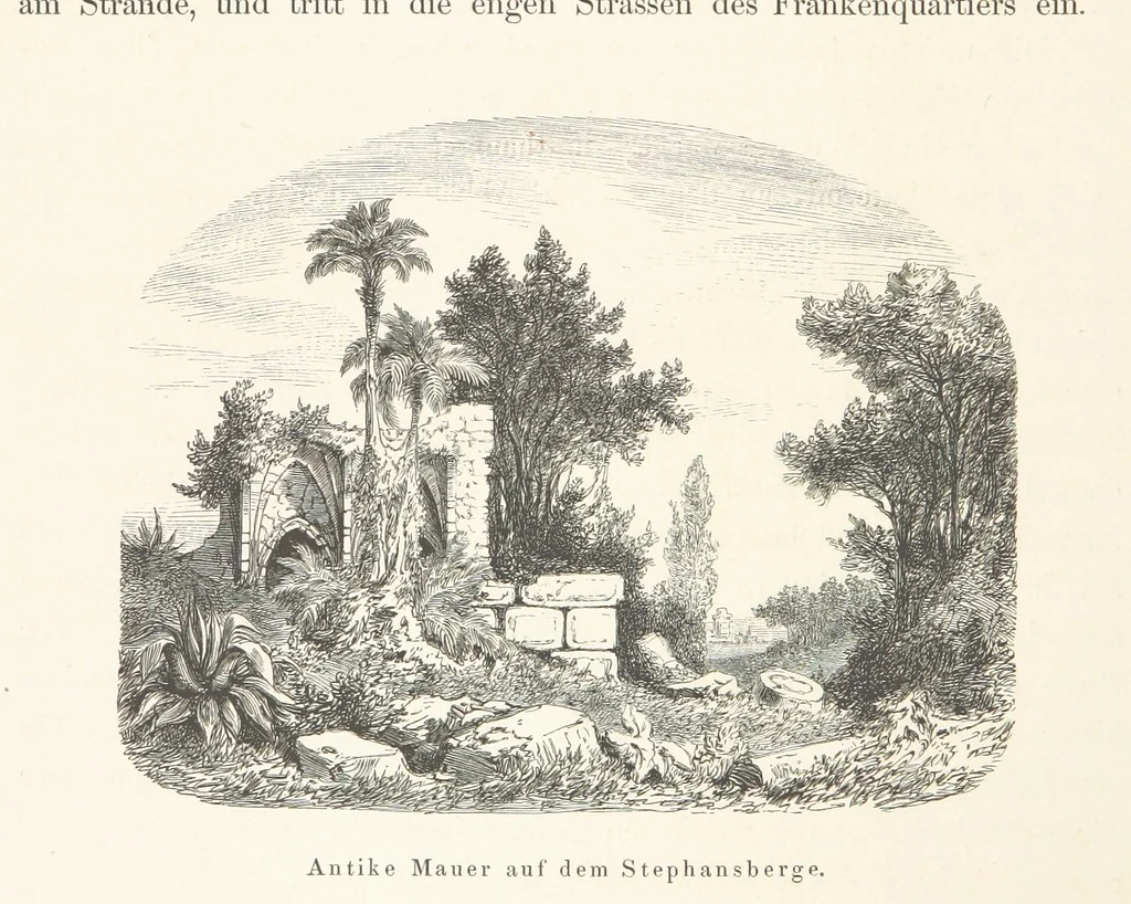 An illustration from Die Insel Rhodus, aus eigener Anschauung und nach den vorhandenen Quellen historisch, geographisch, archäologisch, malerisch beschrieben und durch Originalradirungen und Holzschnitte nach eigenen Naturstudien und Zeichnungen illustrirt. F.P, 1862, leaf 462