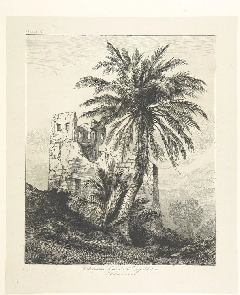 An illustration from Die Insel Rhodus, aus eigener Anschauung und nach den vorhandenen Quellen historisch, geographisch, archäologisch, malerisch beschrieben und durch Originalradirungen und Holzschnitte nach eigenen Naturstudien und Zeichnungen illustrirt. F.P, 1862, leaf 471