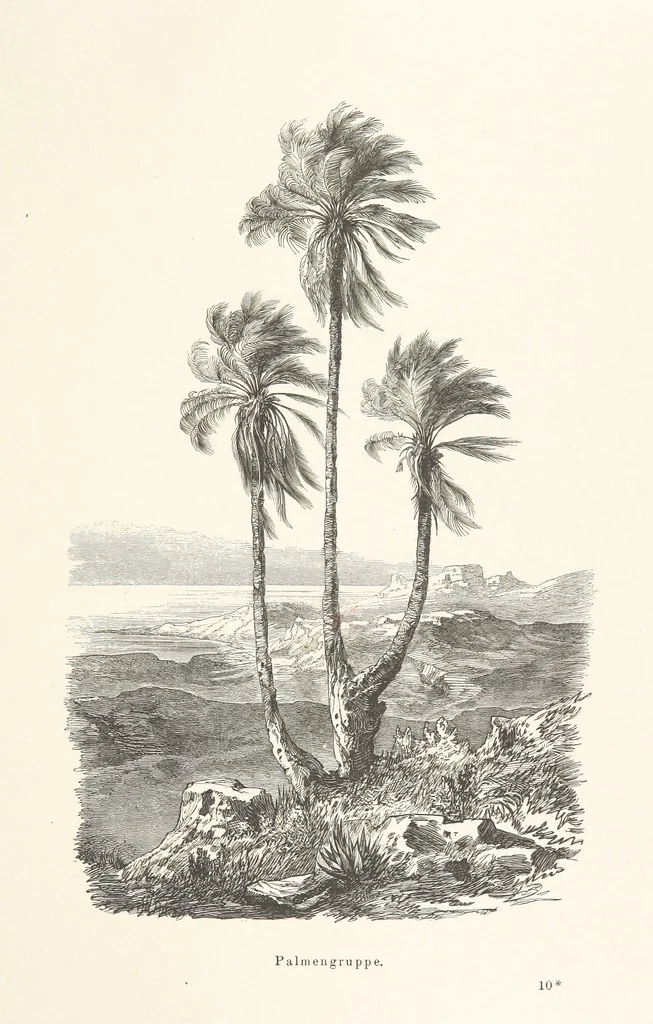 An illustration from Die Insel Rhodus, aus eigener Anschauung und nach den vorhandenen Quellen historisch, geographisch, archäologisch, malerisch beschrieben und durch Originalradirungen und Holzschnitte nach eigenen Naturstudien und Zeichnungen illustrirt. F.P, 1862, leaf 477