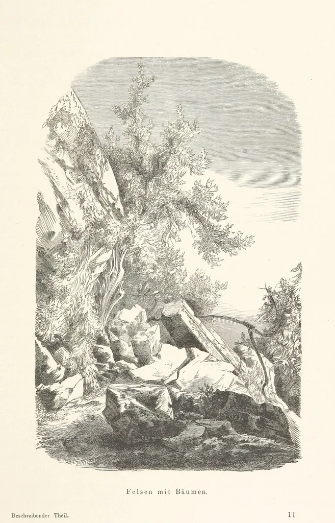 An illustration from Die Insel Rhodus, aus eigener Anschauung und nach den vorhandenen Quellen historisch, geographisch, archäologisch, malerisch beschrieben und durch Originalradirungen und Holzschnitte nach eigenen Naturstudien und Zeichnungen illustrirt. F.P, 1862, leaf 485