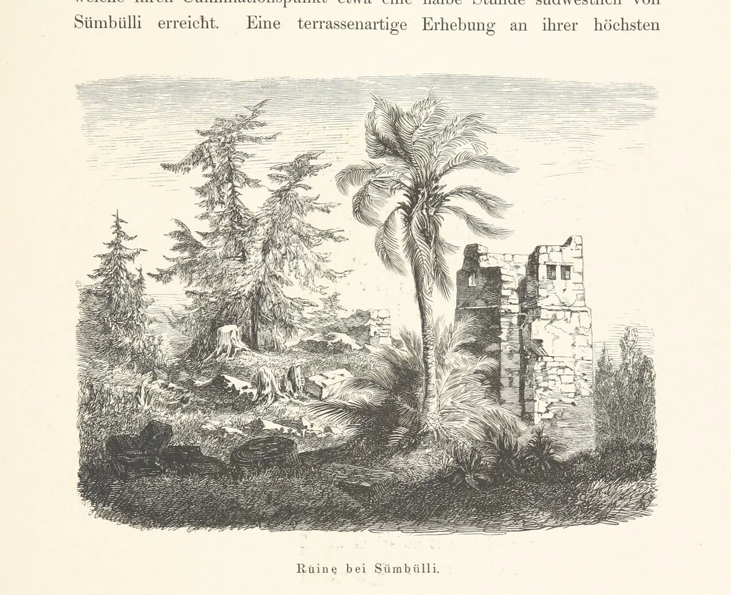 An illustration from Die Insel Rhodus, aus eigener Anschauung und nach den vorhandenen Quellen historisch, geographisch, archäologisch, malerisch beschrieben und durch Originalradirungen und Holzschnitte nach eigenen Naturstudien und Zeichnungen illustrirt. F.P, 1862, leaf 489