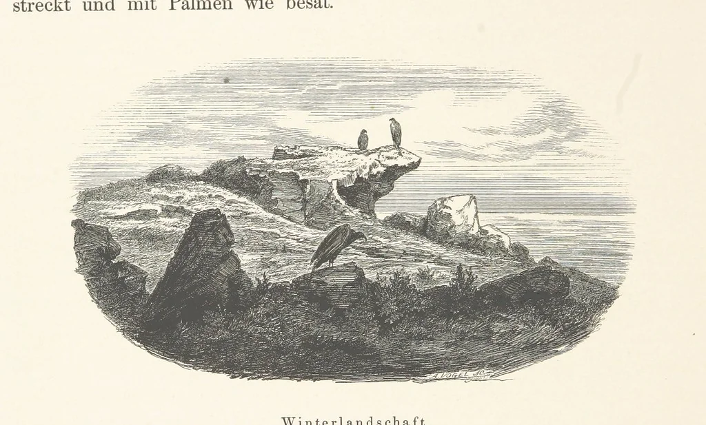 An illustration from Die Insel Rhodus, aus eigener Anschauung und nach den vorhandenen Quellen historisch, geographisch, archäologisch, malerisch beschrieben und durch Originalradirungen und Holzschnitte nach eigenen Naturstudien und Zeichnungen illustrirt. F.P, 1862, leaf 494