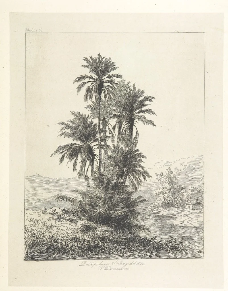An illustration from Die Insel Rhodus, aus eigener Anschauung und nach den vorhandenen Quellen historisch, geographisch, archäologisch, malerisch beschrieben und durch Originalradirungen und Holzschnitte nach eigenen Naturstudien und Zeichnungen illustrirt. F.P, 1862, leaf 507