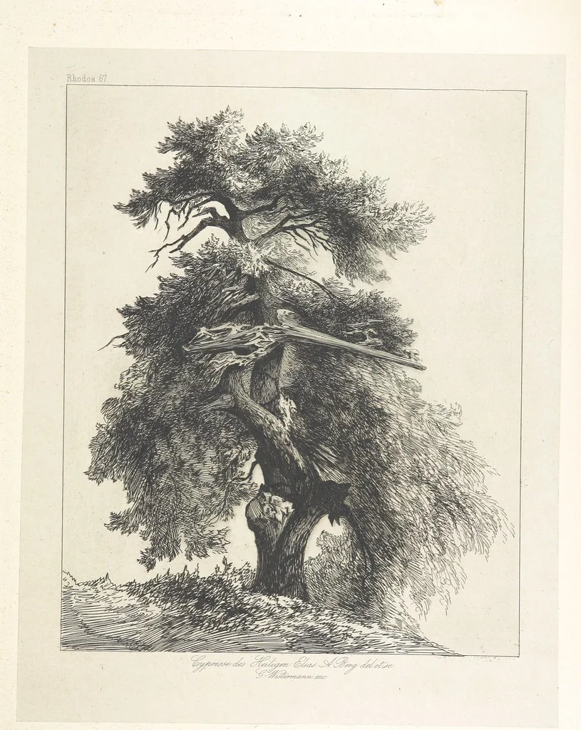An illustration from Die Insel Rhodus, aus eigener Anschauung und nach den vorhandenen Quellen historisch, geographisch, archäologisch, malerisch beschrieben und durch Originalradirungen und Holzschnitte nach eigenen Naturstudien und Zeichnungen illustrirt. F.P, 1862, leaf 583