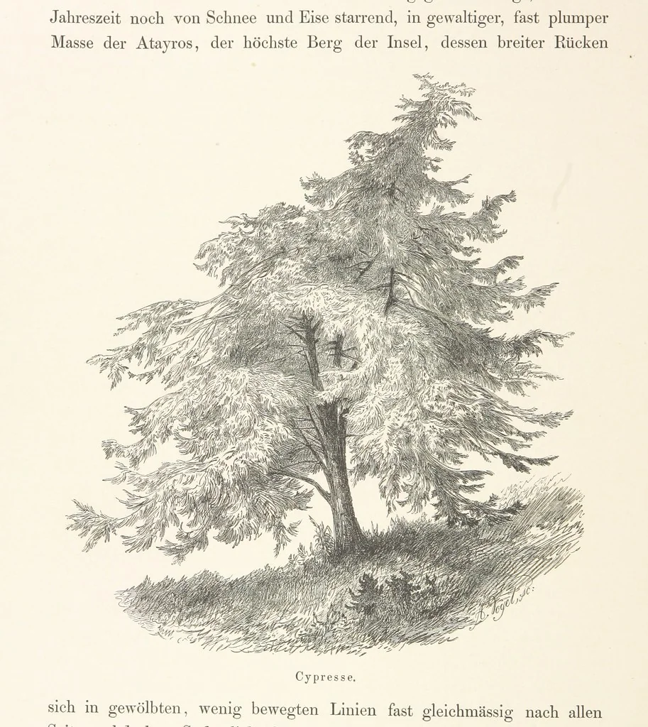 An illustration from Die Insel Rhodus, aus eigener Anschauung und nach den vorhandenen Quellen historisch, geographisch, archäologisch, malerisch beschrieben und durch Originalradirungen und Holzschnitte nach eigenen Naturstudien und Zeichnungen illustrirt. F.P, 1862, leaf 586