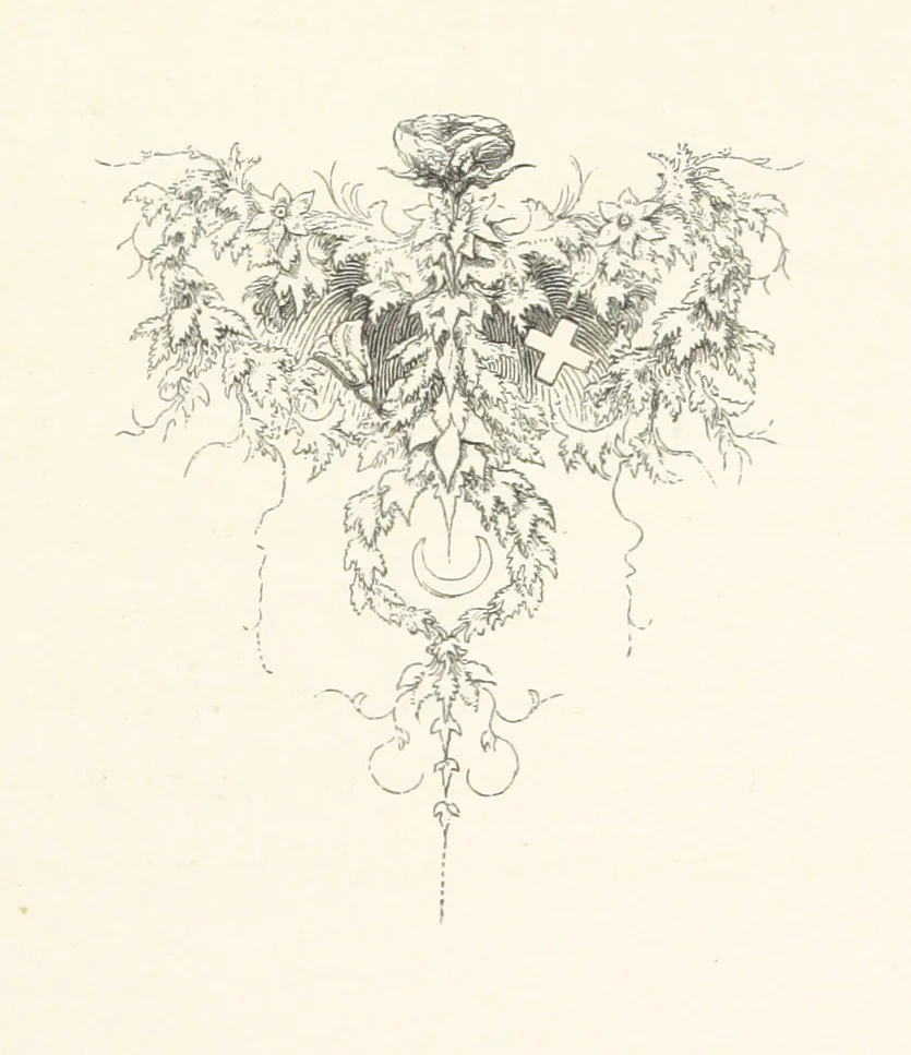 An illustration from Die Insel Rhodus, aus eigener Anschauung und nach den vorhandenen Quellen historisch, geographisch, archäologisch, malerisch beschrieben und durch Originalradirungen und Holzschnitte nach eigenen Naturstudien und Zeichnungen illustrirt. F.P, 1862, leaf 81
