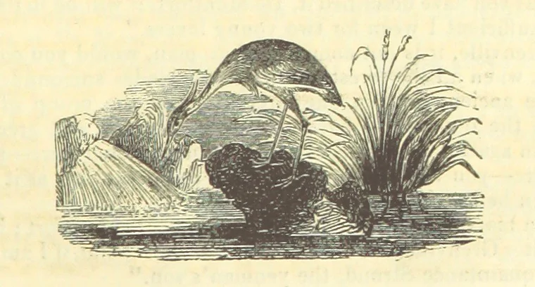 An illustration from The Blind Beggar of Bethnal-Green and Pretty Bessy. [A novel, 1848, leaf 163