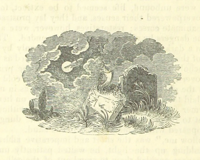An illustration from The Blind Beggar of Bethnal-Green and Pretty Bessy. [A novel, 1848, leaf 200