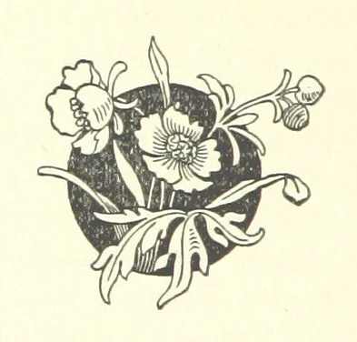 An illustration from Bachelor to the Rescue. [A novel, 1894, leaf 126
