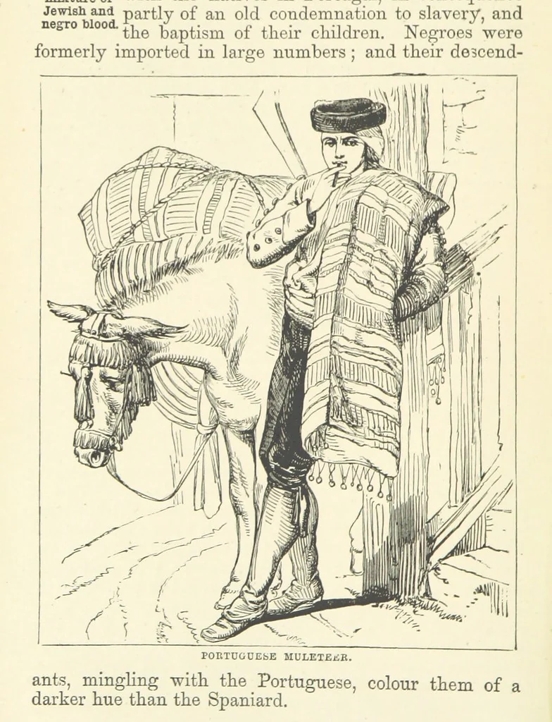 An illustration from The World's Inhabitants; or, Mankind, animals & plants ... With ... illustrations, etc, 1889, leaf 110