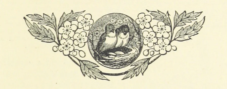 An illustration from The World's Inhabitants; or, Mankind, animals & plants ... With ... illustrations, etc, 1889, leaf 161