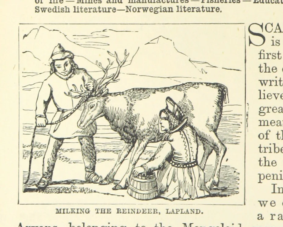 An illustration from The World's Inhabitants; or, Mankind, animals & plants ... With ... illustrations, etc, 1889, leaf 180