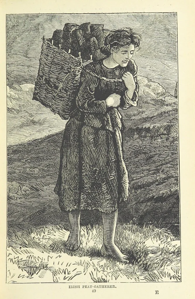 An illustration from The World's Inhabitants; or, Mankind, animals & plants ... With ... illustrations, etc, 1889, leaf 63