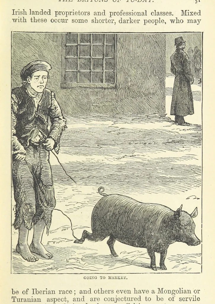 An illustration from The World's Inhabitants; or, Mankind, animals & plants ... With ... illustrations, etc, 1889, leaf 65