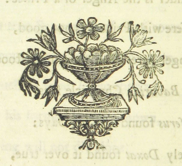 An illustration from Several Letters and Miscellany Poems ... The second edition, with an addition of many others. [With “An Appendix of Several Letters; or, Miscellany Poems.”, 1742, leaf 114