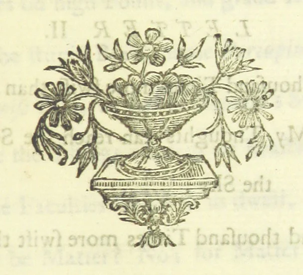 An illustration from Several Letters and Miscellany Poems ... The second edition, with an addition of many others. [With “An Appendix of Several Letters; or, Miscellany Poems.”, 1742, leaf 167
