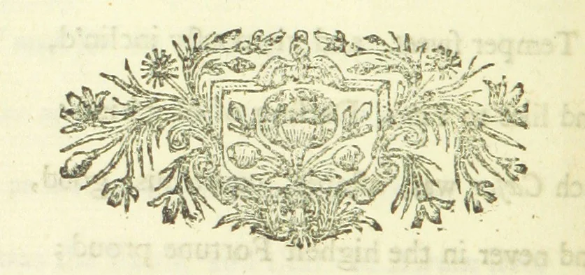 An illustration from Several Letters and Miscellany Poems ... The second edition, with an addition of many others. [With “An Appendix of Several Letters; or, Miscellany Poems.”, 1742, leaf 206