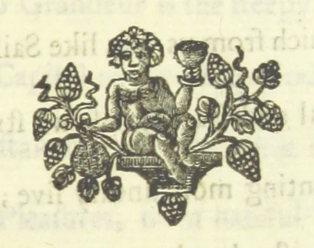 An illustration from Several Letters and Miscellany Poems ... The second edition, with an addition of many others. [With “An Appendix of Several Letters; or, Miscellany Poems.”, 1742, leaf 21