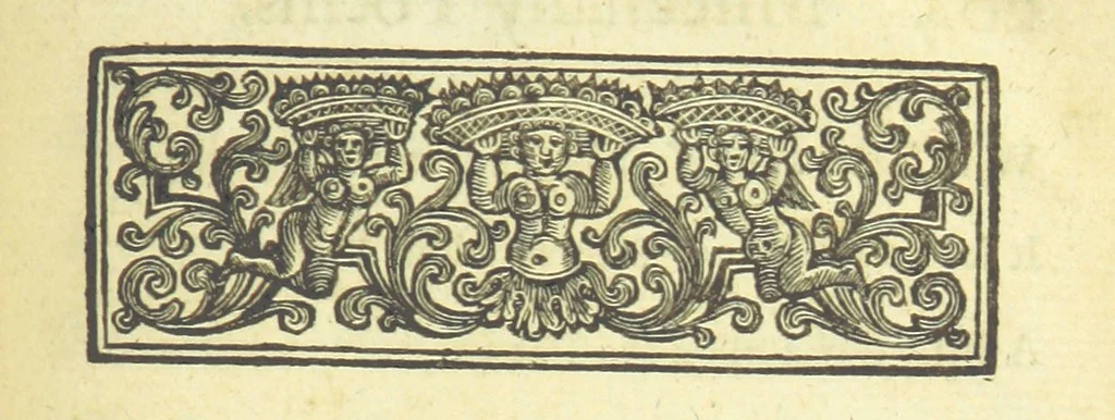 An illustration from Several Letters and Miscellany Poems ... The second edition, with an addition of many others. [With “An Appendix of Several Letters; or, Miscellany Poems.”, 1742, leaf 247
