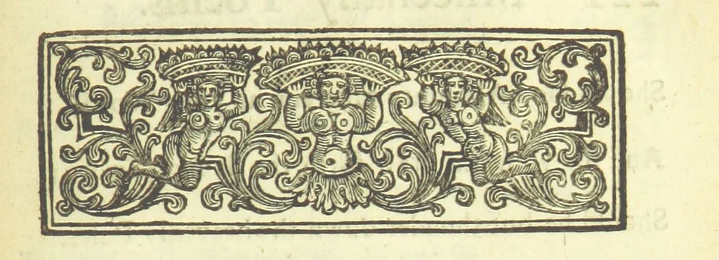 An illustration from Several Letters and Miscellany Poems ... The second edition, with an addition of many others. [With “An Appendix of Several Letters; or, Miscellany Poems.”, 1742, leaf 263