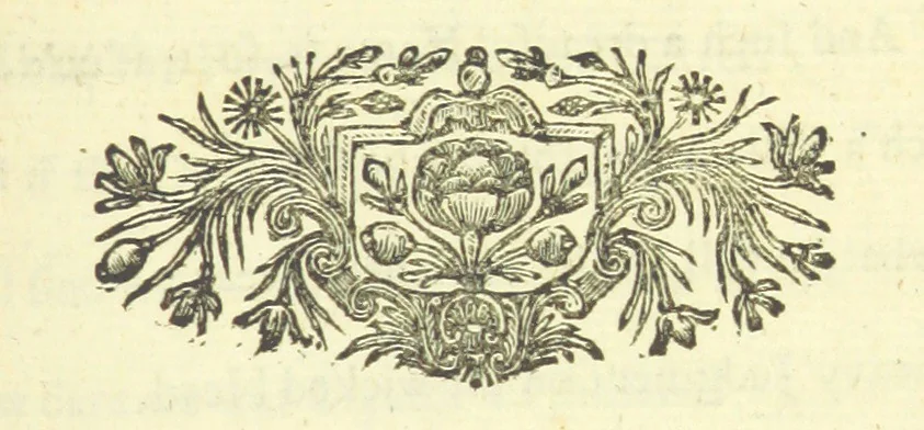 An illustration from Several Letters and Miscellany Poems ... The second edition, with an addition of many others. [With “An Appendix of Several Letters; or, Miscellany Poems.”, 1742, leaf 273