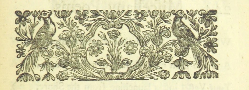An illustration from Several Letters and Miscellany Poems ... The second edition, with an addition of many others. [With “An Appendix of Several Letters; or, Miscellany Poems.”, 1742, leaf 285