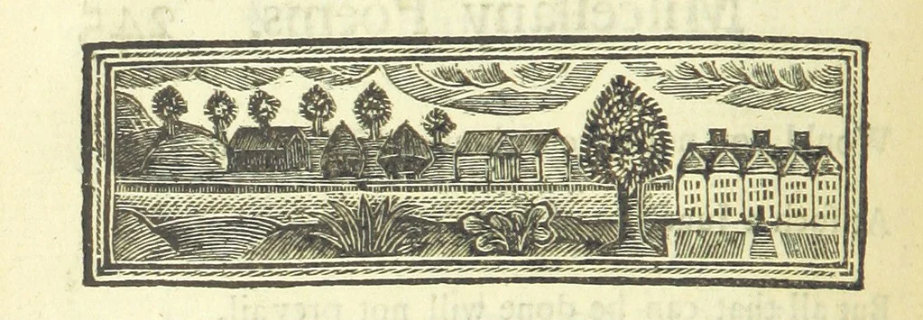 An illustration from Several Letters and Miscellany Poems ... The second edition, with an addition of many others. [With “An Appendix of Several Letters; or, Miscellany Poems.”, 1742, leaf 288