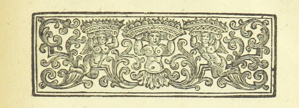An illustration from Several Letters and Miscellany Poems ... The second edition, with an addition of many others. [With “An Appendix of Several Letters; or, Miscellany Poems.”, 1742, leaf 309