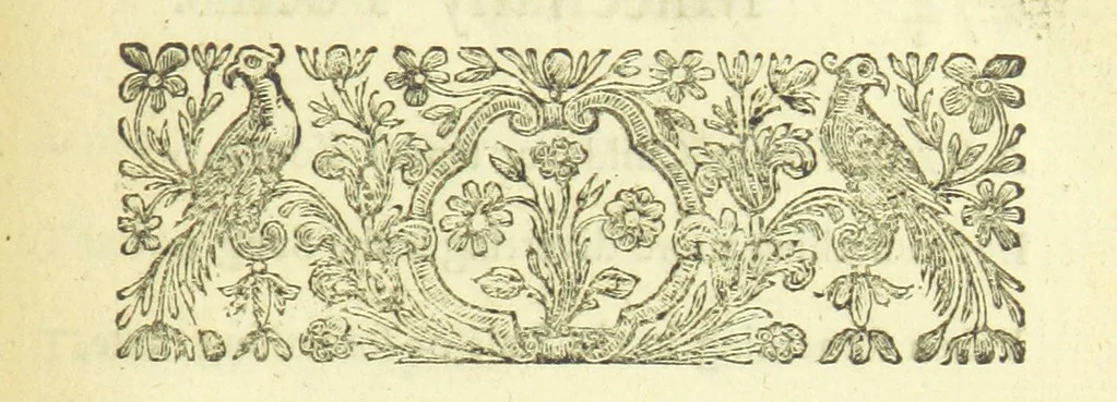 An illustration from Several Letters and Miscellany Poems ... The second edition, with an addition of many others. [With “An Appendix of Several Letters; or, Miscellany Poems.”, 1742, leaf 311