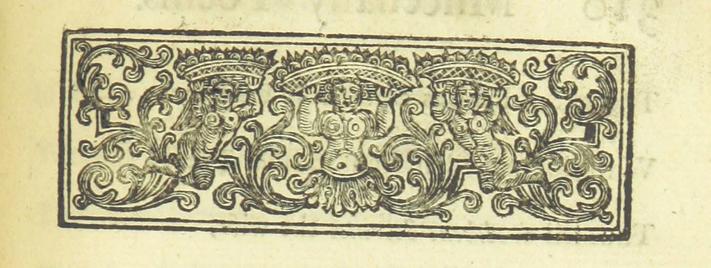 An illustration from Several Letters and Miscellany Poems ... The second edition, with an addition of many others. [With “An Appendix of Several Letters; or, Miscellany Poems.”, 1742, leaf 347