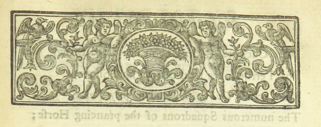 An illustration from Several Letters and Miscellany Poems ... The second edition, with an addition of many others. [With “An Appendix of Several Letters; or, Miscellany Poems.”, 1742, leaf 357